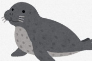 【動画】アザラシとかいう生き物、あざとすぎる・・・