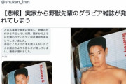 【朗報】野獣先輩のグラビア、発見される