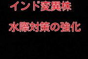 日本政府「インド変異株を入れないために水際対策を強化する！6日に延ばしたけど10日に延長だ！」←これ