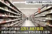 【速報】今月値上げされる食品の数、エグい…