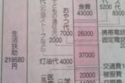 【画像】月額わずか『29万円程度』の生活保護費しか貰えていないシングルマザーの実態がコレｗｗｗｗｗｗｗ
