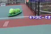 【悲報】長野久義(35) アオムシをポケモンと勘違いして尻を叩いて動物虐待の心配をしてしまう…