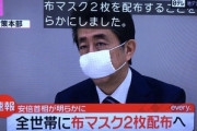 安倍首相｢全世帯に布マスク2個配る｣←いま冷静に考えるとヤバかったよな