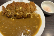 すまん、何回食べてもやっぱりココイチのカレーが１番旨いという結論に達するんやが異端か？