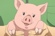 【動画】女子小学生、泣きながら育てた豚ちゃんを食す?　これヴィーガンになるやつだろ・・・教育上どうなんだ？