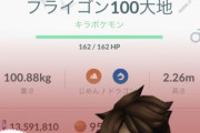 【ポケモンGO】急募「100％フライゴン」の使い道！！！