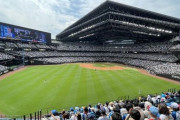 野球の試合ほぼ見たことがないわけやがどうすれば楽しめるんや？