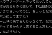 【悲報】Vtuberさん「フリーゲームでtrueENDまでいけってのは配信者を馬鹿にしている」→ゲーム開発者が激怒