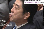 【悲報】山上徹也「（安倍が）まさか死ぬとは思わなかった」