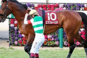 【社台SSで種牡馬に】エフフォーリア　電撃引退