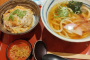 このカツ丼うどんセットに500円出せますか？