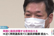 【悲報】自民・薗浦さん、不正の証拠隠滅を指示したら秘書に録音され終了してしまう