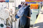 マグロ漁船で年収500万　10ヶ月間遠洋で2ヶ月休み