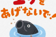 アクア民社員さん「自分の出張中に別の社員が大量にエサやりしたせいで水が汚れてメダカが全滅してた」