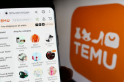 【画像あり】TEMUとかいうショップ、549円でとんでもないクッションを売る