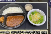 【悲報】藤井聡太、晩飯920円ｗｗｗ