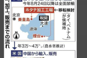 【現状】中国政府「はい禁輸」中国企業「はい東南アジア移転で回避」ホタテ業者「はい無傷」