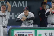 【画像】WBCの応援グッズとして日本中で買われた「ペッパーミル」　→　WBC終了後の悲惨な末路がこちら……
