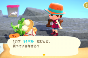 あつまれどうぶつの森 カブを1カブ91ベルで買ったのに損をしてしまった話