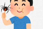 【画像】生き物系YouTuberさん、セアカゴケグモを食べてしまい炎上ｗｗｗｗｗｗｗｗｗｗ
