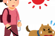 愛犬家の工藤静香さん、炎天下で犬の散歩をさせる人を見て心を痛める