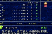 RPGの町「武器屋」「道具屋」「宿屋」←食料品店ってある？