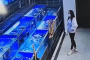 【速報】スーパーマーケットの生け簀から出した魚を踏み付けて殺した中国人女性「死んでたから安く売って」