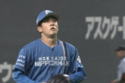 【朗報】日ハム北山のストレート、復活！