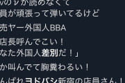 ヨドバシの転売対策に中国人ブチ切れ「外国人差別だ！店長呼んでこい」国際問題に発展か |  商品名言えないと買えないっておかしくね？