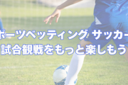 スポーツベッティング サッカーで試合観戦をもっと楽しもう