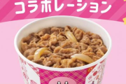 【悲報】吉野家カービィ戦争、本日１１時より開始するも行列＆即完売で、カービィファン発狂ｗｗｗ