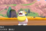 【悲報】ポケモン、色違いの価値が大崩落