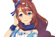 【ウマ娘】海外ユーザーさん、ウマ娘のとんでもない事実に気づいてしまうｗｗｗｗｗ
