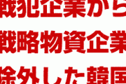 韓国、284社の”戦犯企業”から半導体材料メーカーを除外していた！　キヤノンやニコンの戦略物資が必要だから戦犯認定せず！　ダブスタにも程があるだろ…