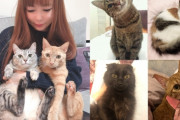 中川翔子さんが飼っていた猫が死去。１歳半で。