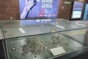 【韓国】ソウルの地下鉄主要駅や戦争関連の記念施設に展示されていた竹島の模型が撤去される　韓国国民「独島消去だ」「反国家行為だ」と尹政権に激怒