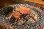 【画像】焼肉食べた(´･ω･`)【＋猫】