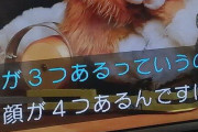 【悲報】犬のぬいぐるみにとんでもない魔改造を施したトヨタ技術者さんのサイコパス的なコメントが話題にｗｗｗｗｗｗｗｗｗｗ