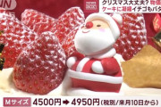 クリスマスケーキ、今年も値上げへ。ホールケーキが5000円の時代へ