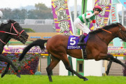 エフフォーリアは有馬記念勝てるの？