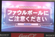 球場行ったら100%「プロってすげえ…」ってなるよな