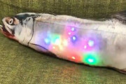 【なにこれ】振動に応じて七色に光り散らかす謎ゲーミンググッズ、『ゲーミング活魚』が誕生ｗｗｗｗｗ
