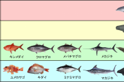 意外な事実！魚を1日2回以上食べると「高血圧」になりやすいことが判明…  [BFU★]