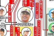 侍ジャパン最新相関図発表wwwwwwwwwwwwwww