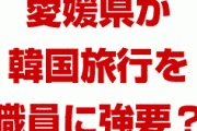 日本の自治体が韓国旅行を職員に強要していた！？　韓国路線の廃止を防ぐため？どうして旅行を強制するの？