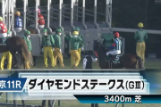 【ダイヤモンドS】ミクソロジー＆西村騎手がｷﾀ━━━━(ﾟ∀ﾟ)━━━━!!