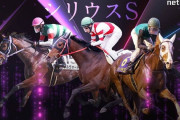 第27回 シリウスステークス (GⅢ)