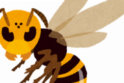 スズメバチのwiki面白すぎて草ｗｗｗｗｗｗｗｗｗ
