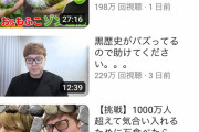 【悲報】HIKAKINさん、オワコンになる…遂にはじめしゃちょーとコラボしても伸びない