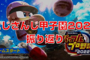 【にじ甲2023】田中さんの振り返り配信まとめ『打球反応つけない派』『プロ意識を貫通するレオス巨大化』『おニュイ経由でにじさんじを知った』